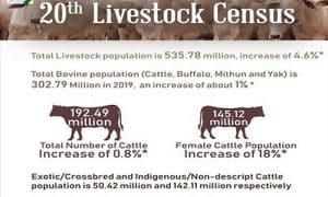 20th Livestock census for 2019