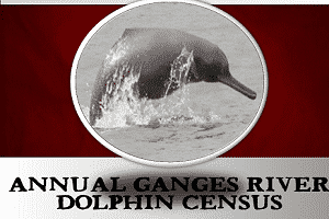 Ganges-River-Dolphine