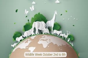Wildlife week