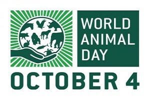 World Animal day 2019