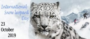international snow leopard day