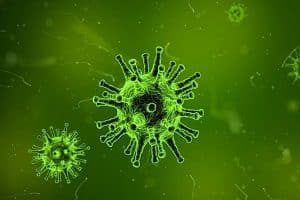 Researchers see individual virus formation