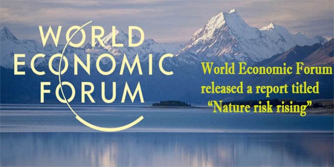 world economic forum nature risk rising