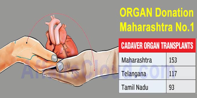 organ donation Maharashtra no