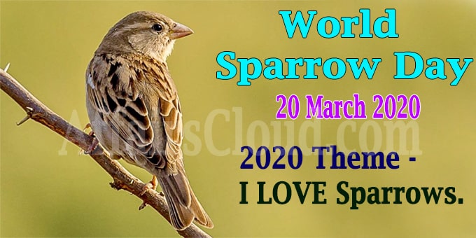 world sparrow day 2020