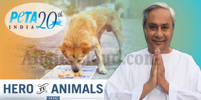 Odisha CM Patnaik gets PETA s Hero to Animals Award